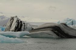 Island - Wal trifft Seelöwe